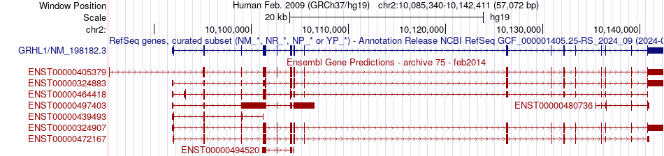 gene isoform structure of GRHL1