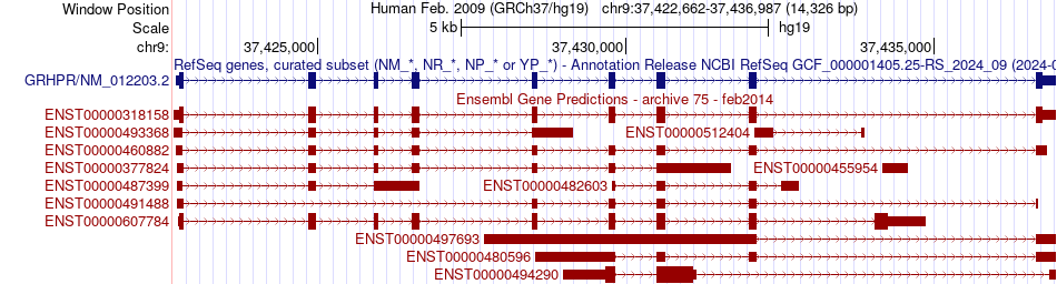 gene isoform structure of GRHPR