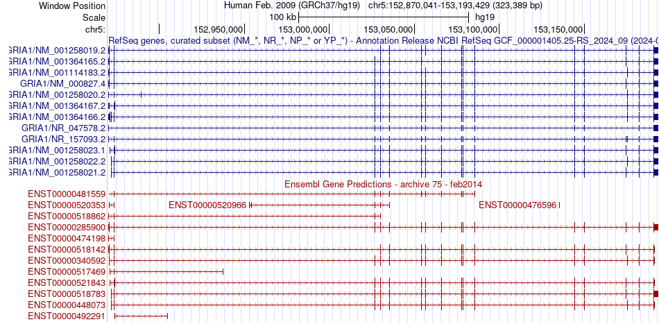 gene isoform structure of GRIA1