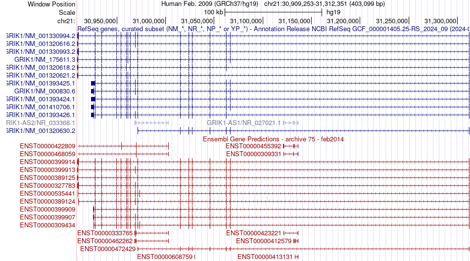 gene isoform structure of GRIK1