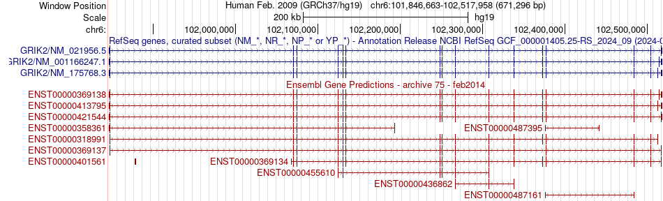 gene isoform structure of GRIK2