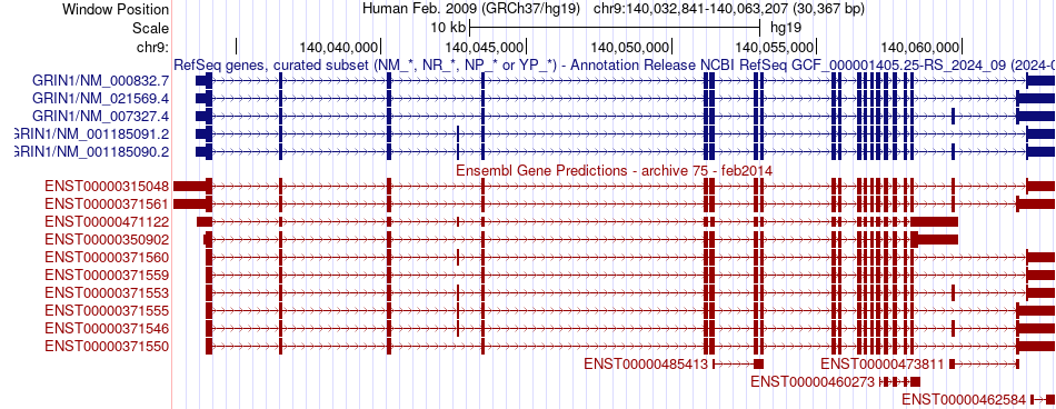 gene isoform structure of GRIN1