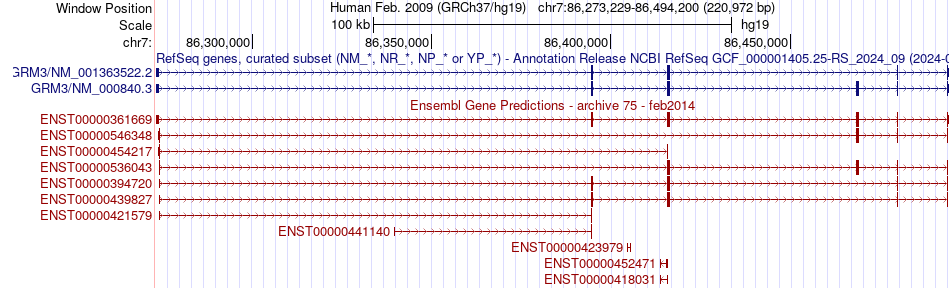 gene isoform structure of GRM3