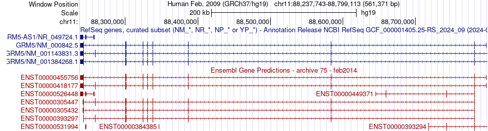 gene isoform structure of GRM5