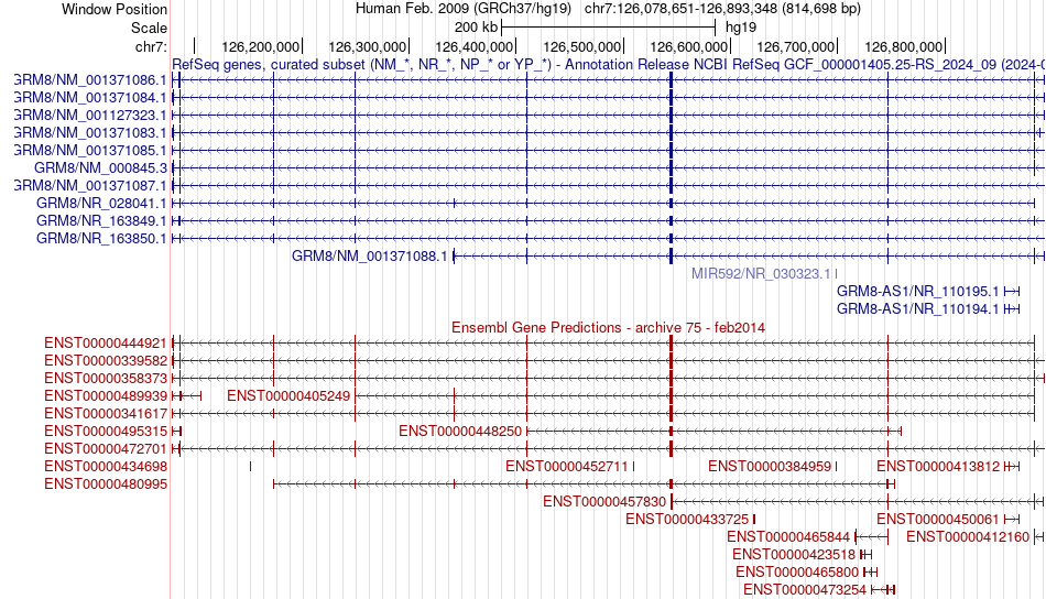 gene isoform structure of GRM8