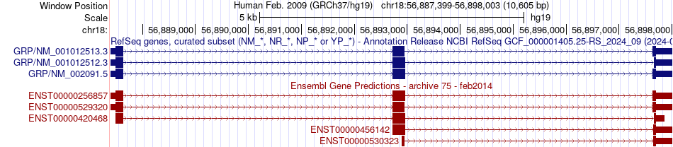 gene isoform structure of GRP