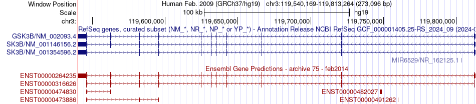 gene isoform structure of GSK3B