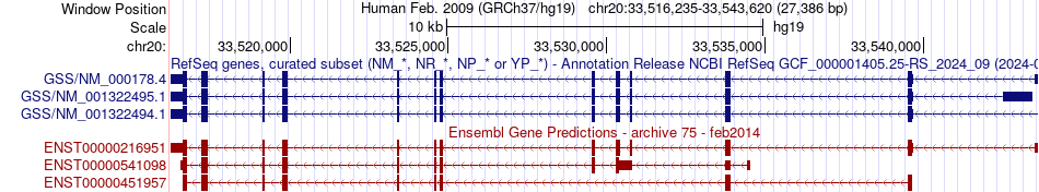 gene isoform structure of GSS