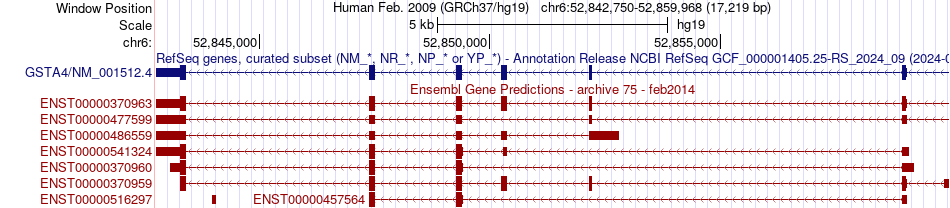 gene isoform structure of GSTA4