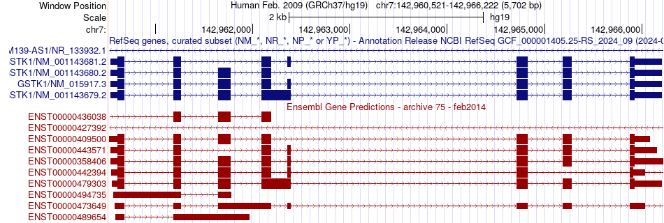 gene isoform structure of GSTK1
