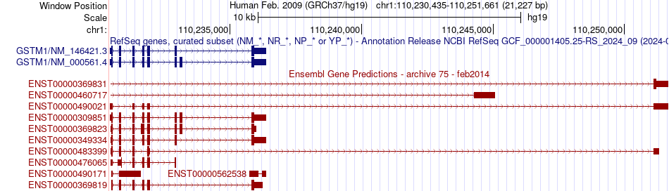 gene isoform structure of GSTM1