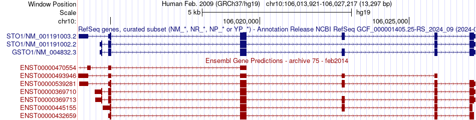 gene isoform structure of GSTO1