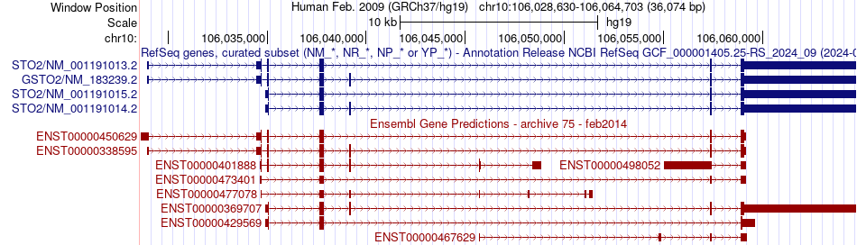 gene isoform structure of GSTO2