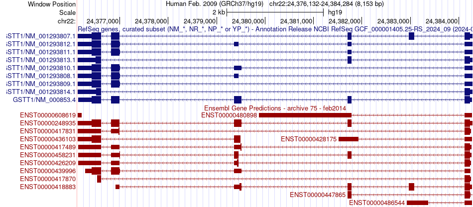 gene isoform structure of GSTT1