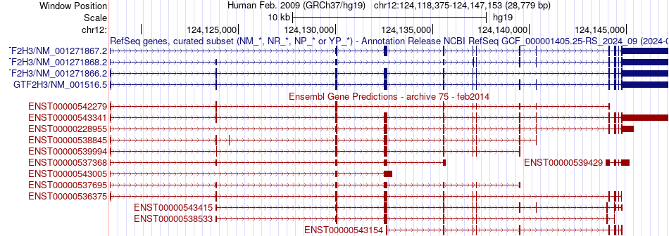 gene isoform structure of GTF2H3