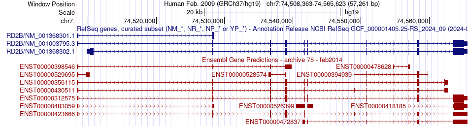 gene isoform structure of GTF2IRD2B
