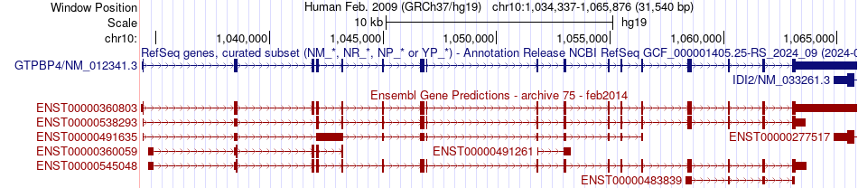gene isoform structure of GTPBP4
