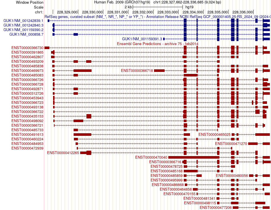 gene isoform structure of GUK1
