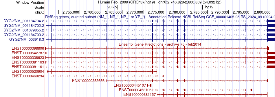 gene isoform structure of GYG2