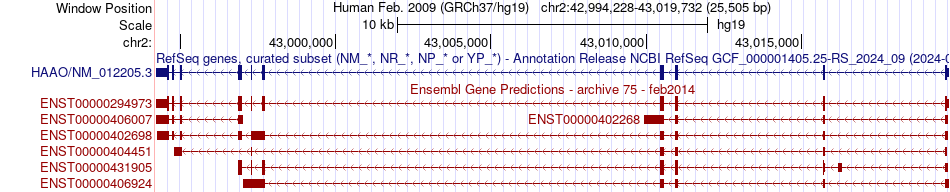 gene isoform structure of HAAO
