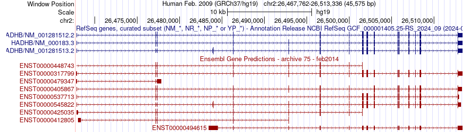 gene isoform structure of HADHB