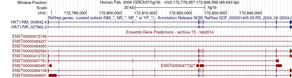 gene isoform structure of HAT1
