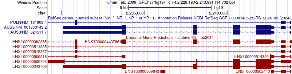 gene isoform structure of HAUS3