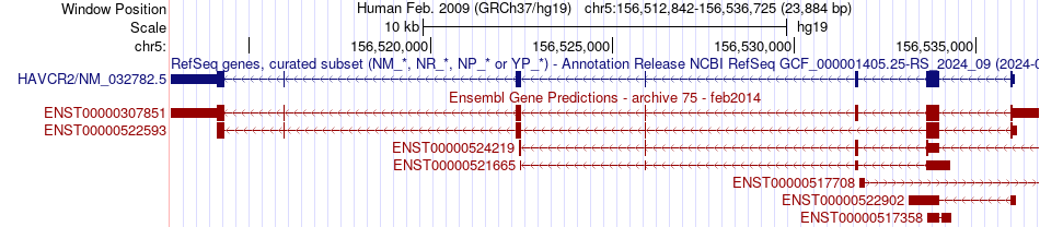 gene isoform structure of HAVCR2
