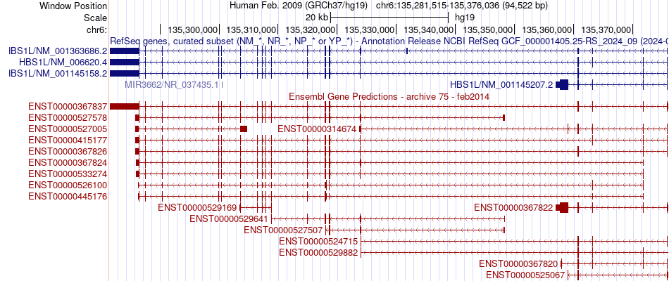 gene isoform structure of HBS1L