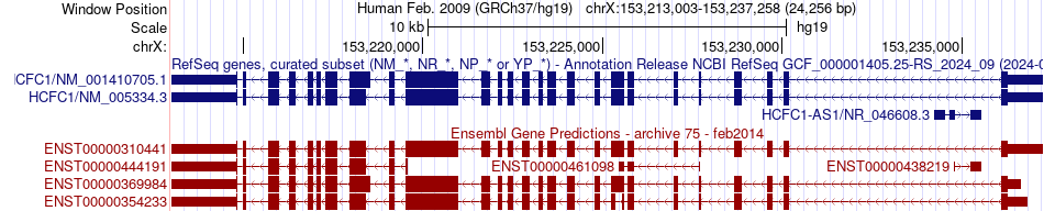 gene isoform structure of HCFC1
