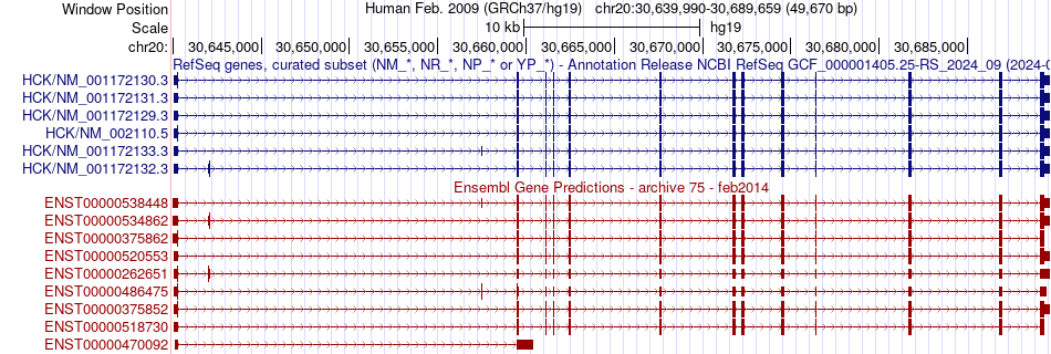 gene isoform structure of HCK