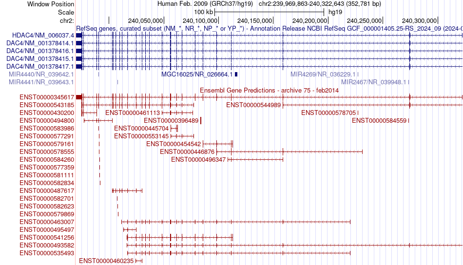 gene isoform structure of HDAC4