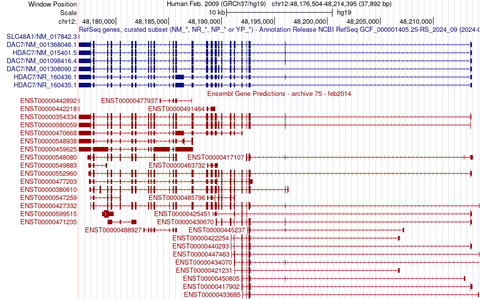 gene isoform structure of HDAC7