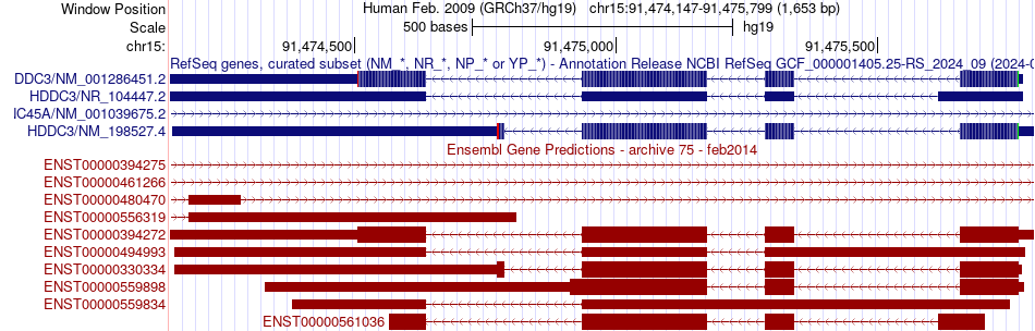 gene isoform structure of HDDC3