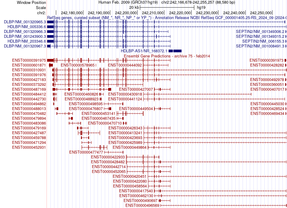 gene isoform structure of HDLBP