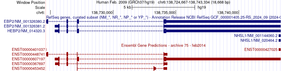 gene isoform structure of HEBP2