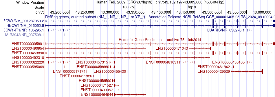 gene isoform structure of HECW1