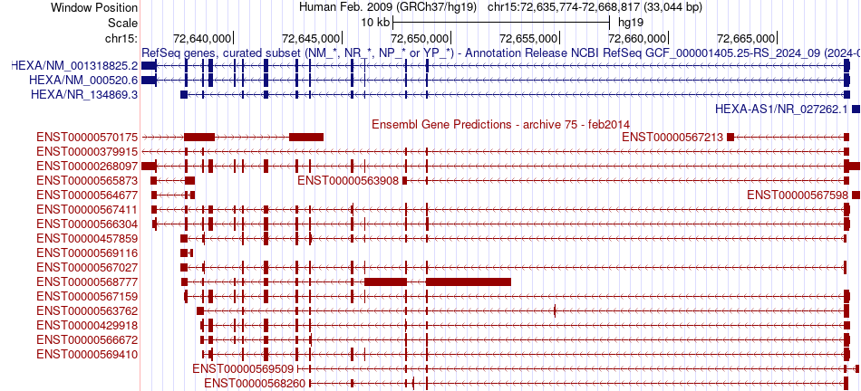 gene isoform structure of HEXA
