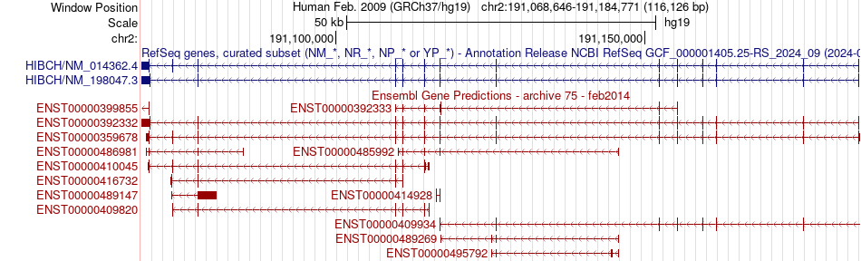 gene isoform structure of HIBCH