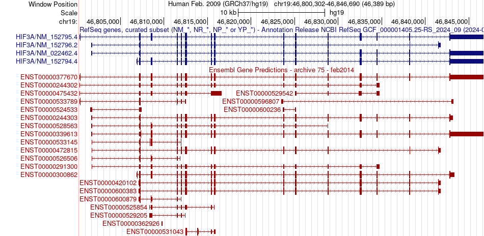 gene isoform structure of HIF3A