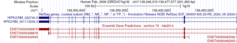 gene isoform structure of HIPK2