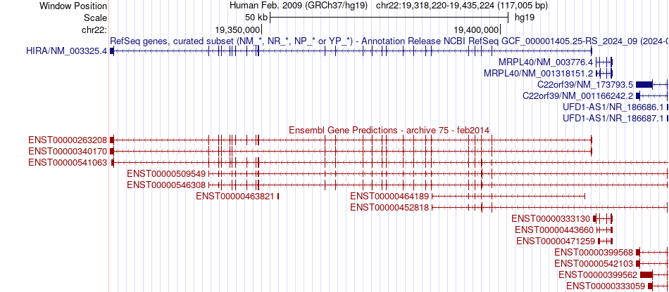gene isoform structure of HIRA