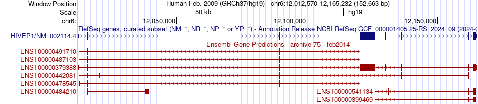 gene isoform structure of HIVEP1