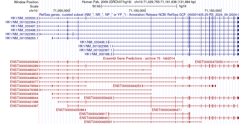 gene isoform structure of HK1