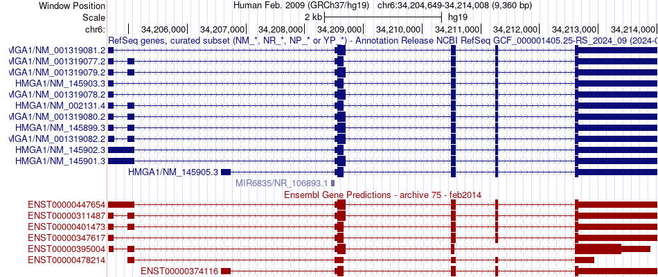 gene isoform structure of HMGA1