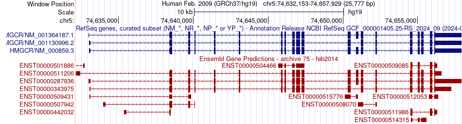 gene isoform structure of HMGCR