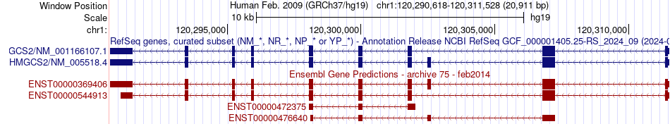 gene isoform structure of HMGCS2