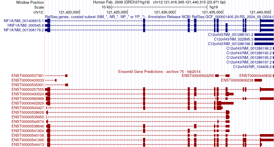 gene isoform structure of HNF1A