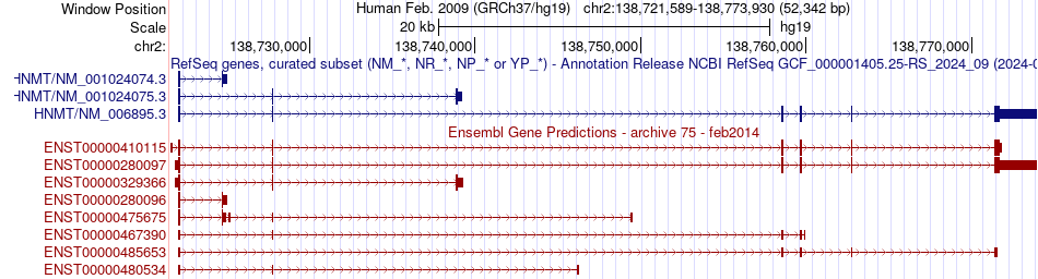 gene isoform structure of HNMT