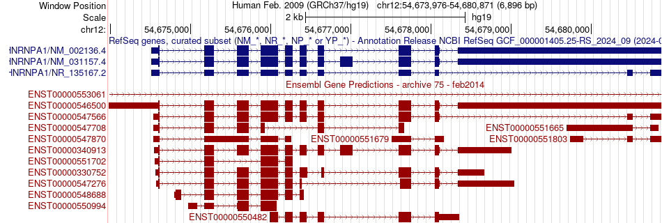 gene isoform structure of HNRNPA1